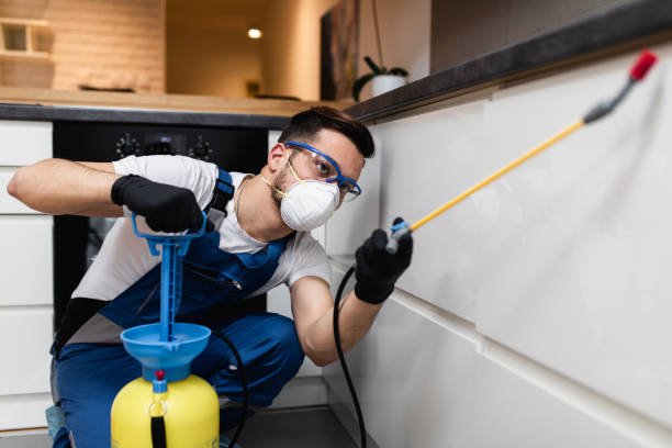 Best Cockroach Control Services  in Vandenberg Af, CA