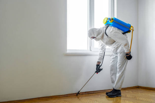 Best Residential Pest Control  in Vandenberg Af, CA