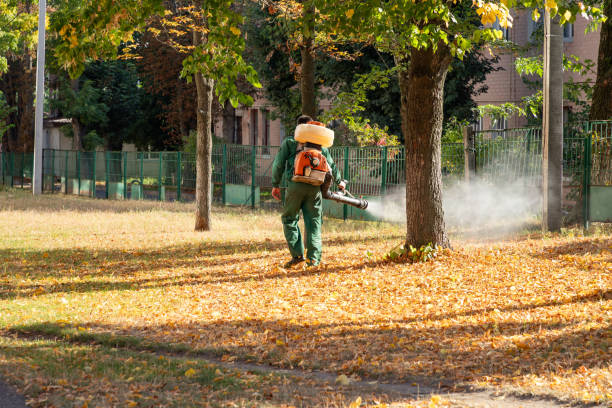  Vandenberg Af, CA Pest Control Pros