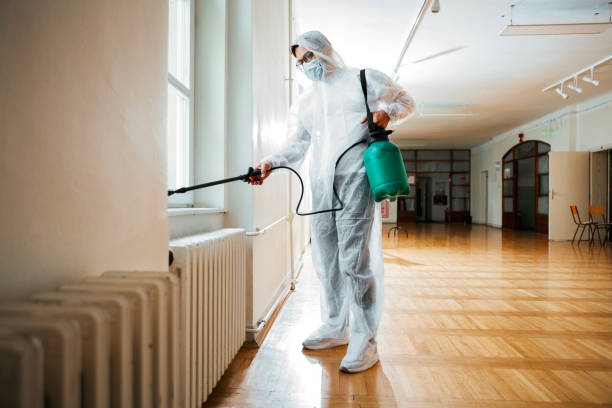 Wasp Removal Services in Vandenberg Af, CA
