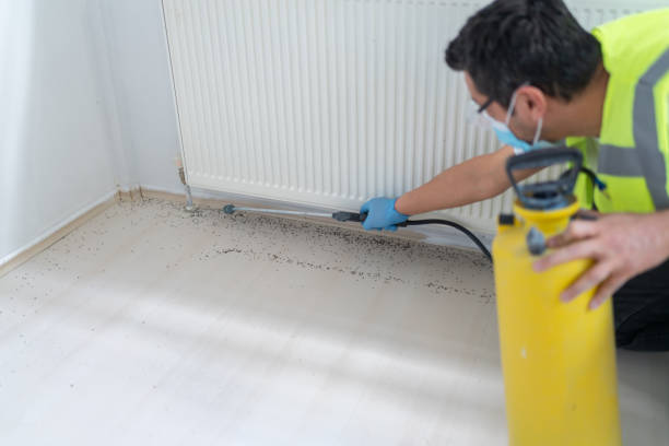 Best Mosquito Control Services  in Vandenberg Af, CA