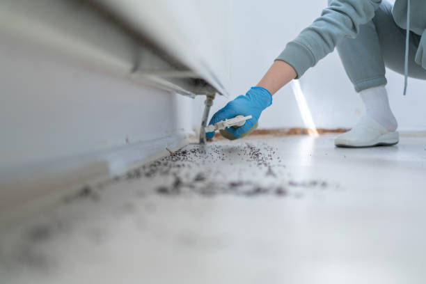 Best Termite Control Services  in Vandenberg Af, CA
