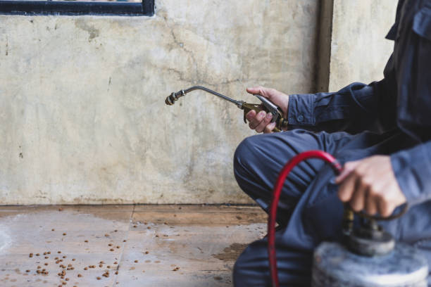 Best Pest Inspection Near Me  in Vandenberg Af, CA