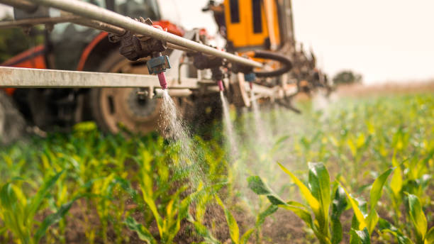 Best Mosquito Control Services  in Vandenberg Af, CA